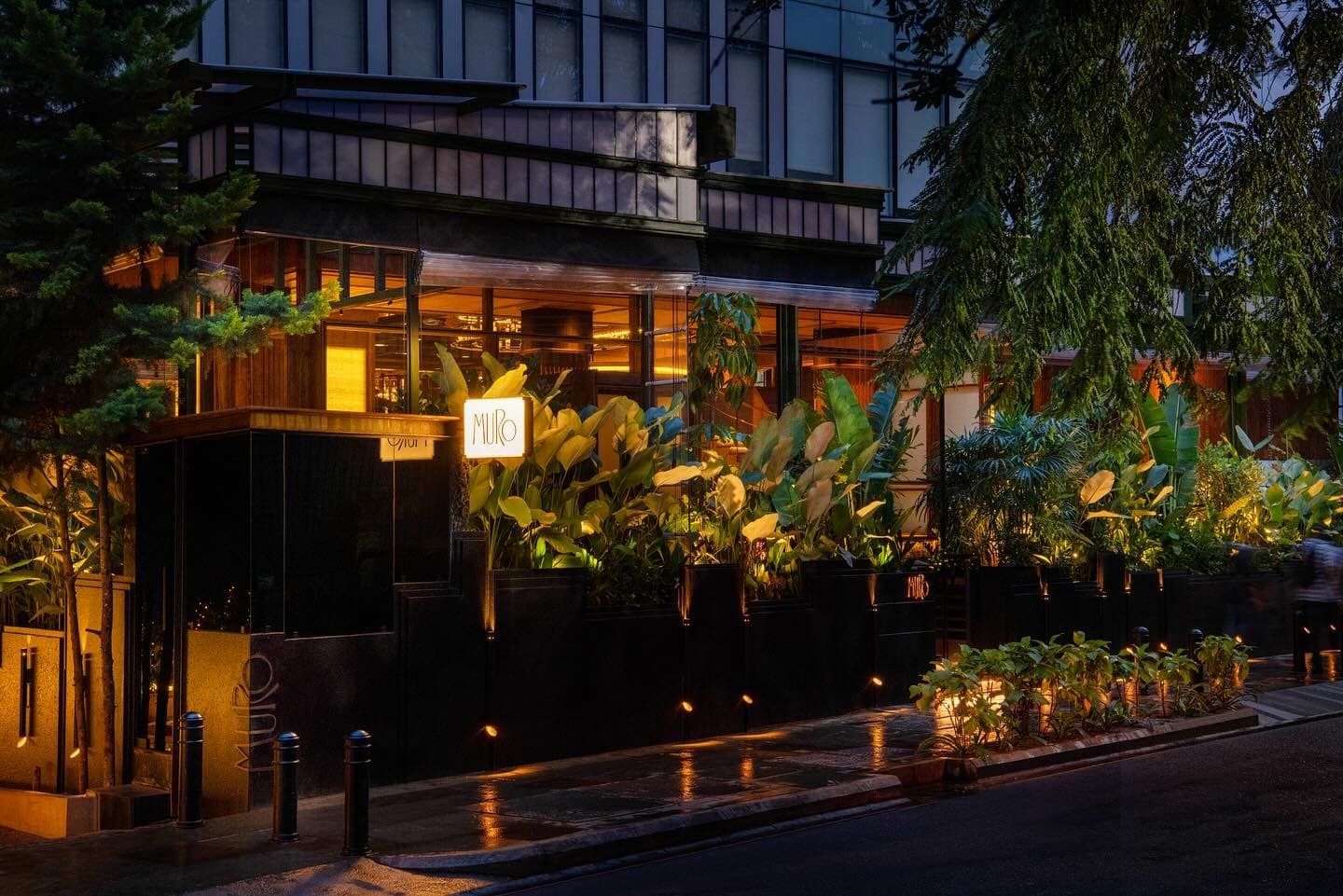 MURO exterior on Museum Road at dusk — illuminated facade with tropical planting